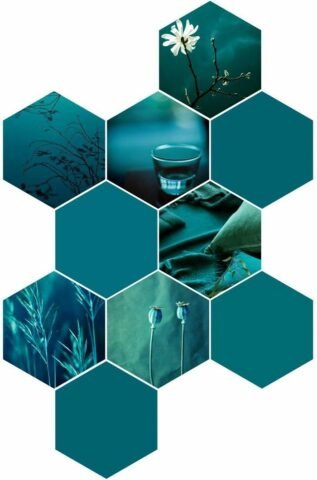 Calm teal collage of a white flower, a glass of water, grasses and seed pods