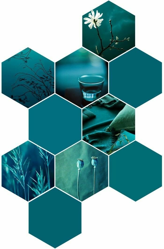 Calm teal collage of a white flower, a glass of water, grasses and seed pods